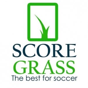 Egyptian Artificial Grass Manufacturer and Supplier - Forever Green