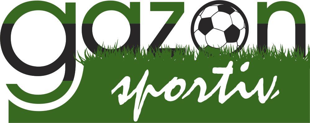 Best Artificial Grass Suppliers in Romania - Gazon Sportiv