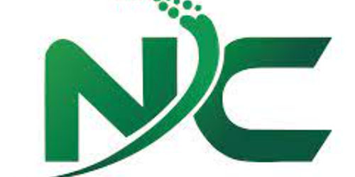 Artificial Turf Manufacturer and Wholesaler in Vietnam - NC Vietnam Trading and Service Co., Ltd.