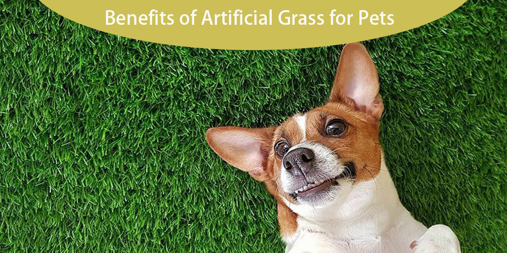 Benefits of Artificial Grass for Pets