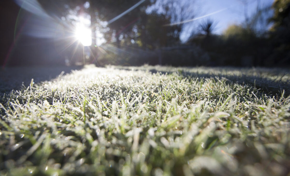 Artificial grass Seasonal Maintenance